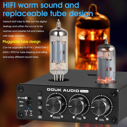 Douk Audio P6 mini Tube Preamplifier - Elektor