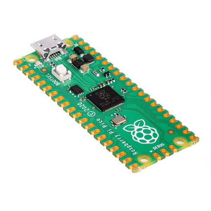 Raspberry Pi Pico RP2040 - Elektor